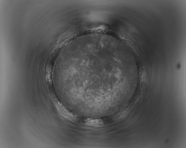 X0000116800185200912181326