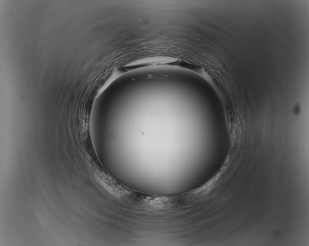 X0000116800186200912181326