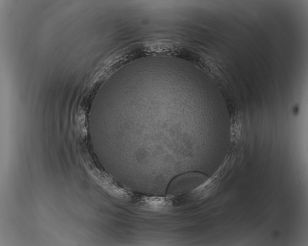 X0000116800187200912181326