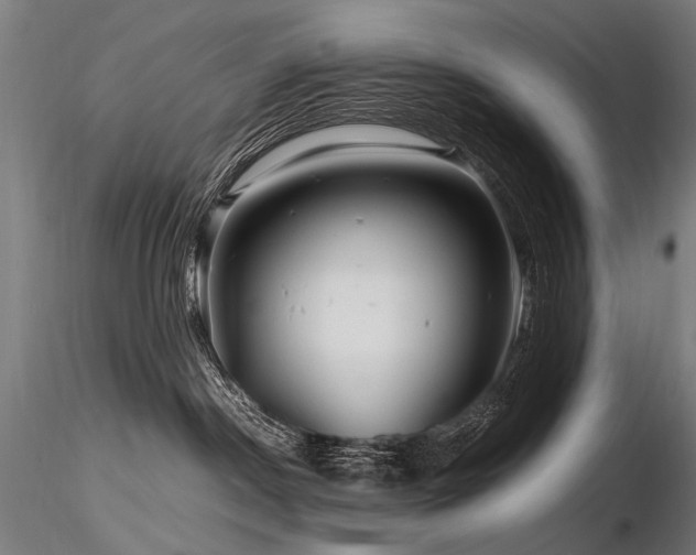 X0000116800190200912181326