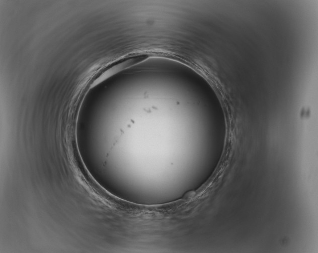 X0000116800193200912181326