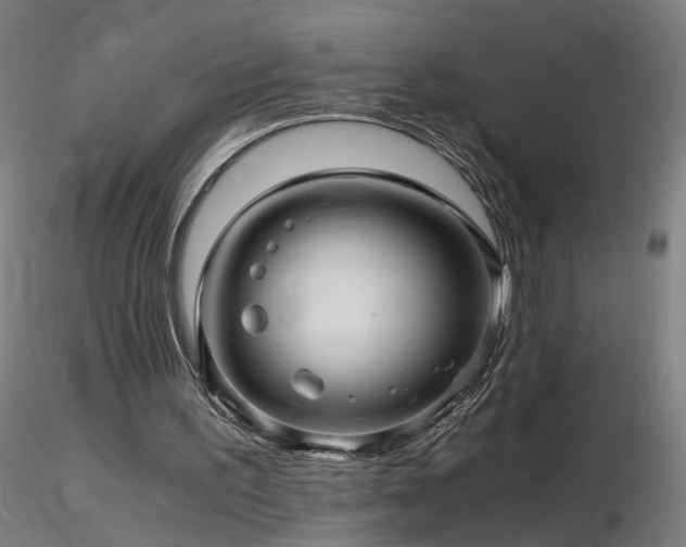 X0000116800195200912181326