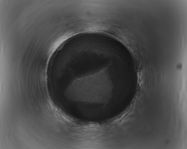 X0000116800196200912181326