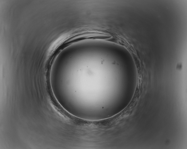 X0000116800197200912181325