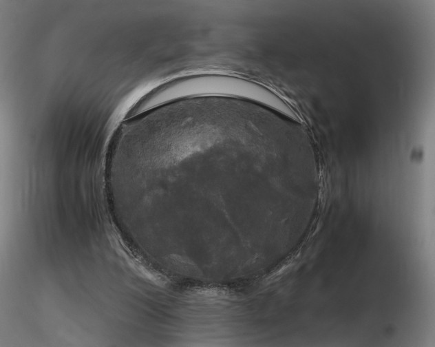 X0000116800200200912181325