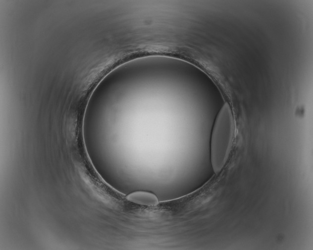 X0000116800201200912181325