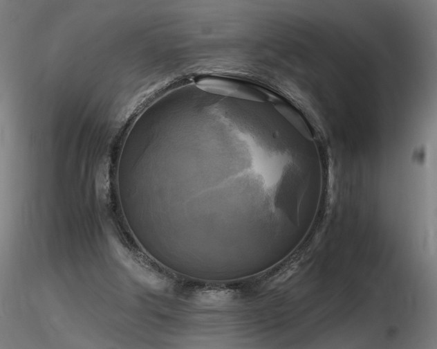 X0000116800202200912181325