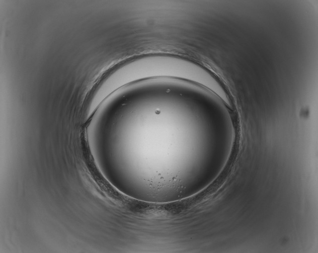 X0000116800203200912181325