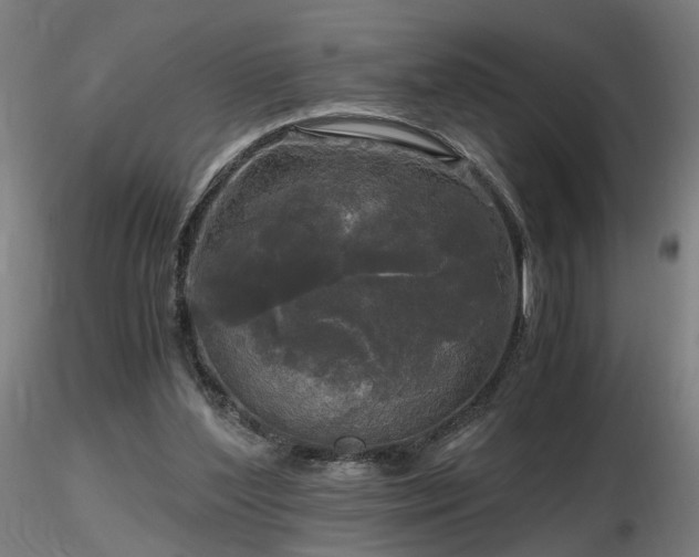 X0000116800204200912181325