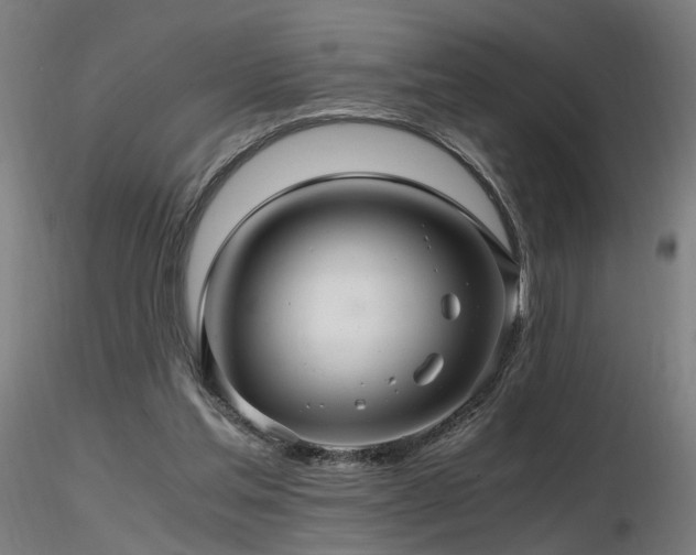 X0000116800205200912181325