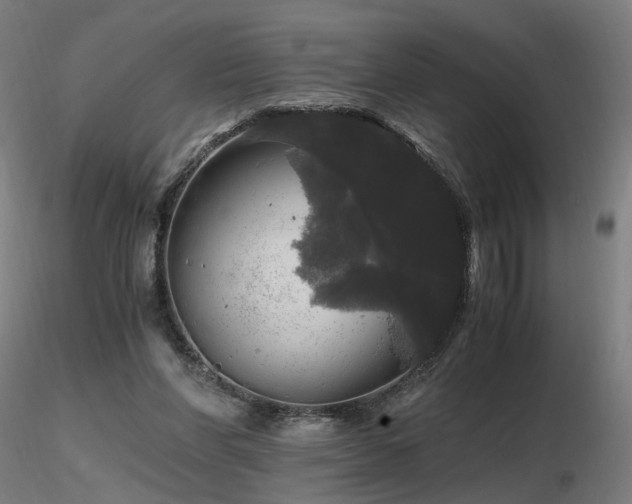 X0000116800206200912181325