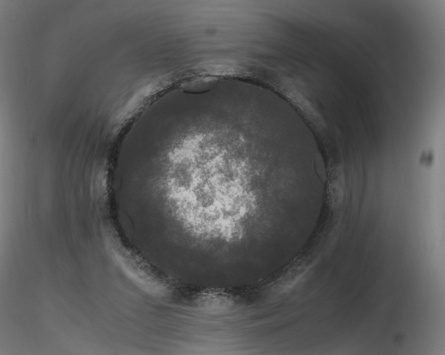 X0000116800207200912181325