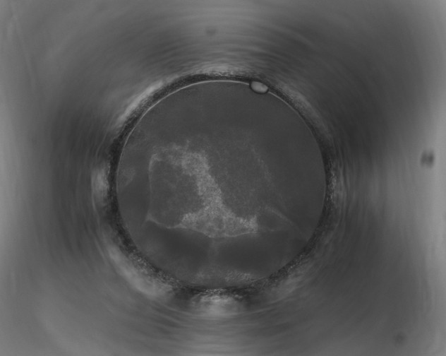 X0000116800208200912181325