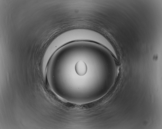 X0000116800209200912181325