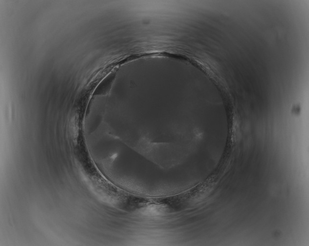 X0000116800210200912181325