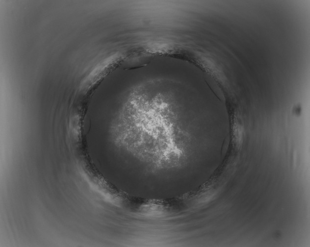 X0000116800211200912181325