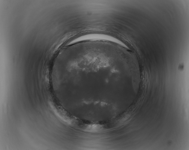 X0000116800212200912181325