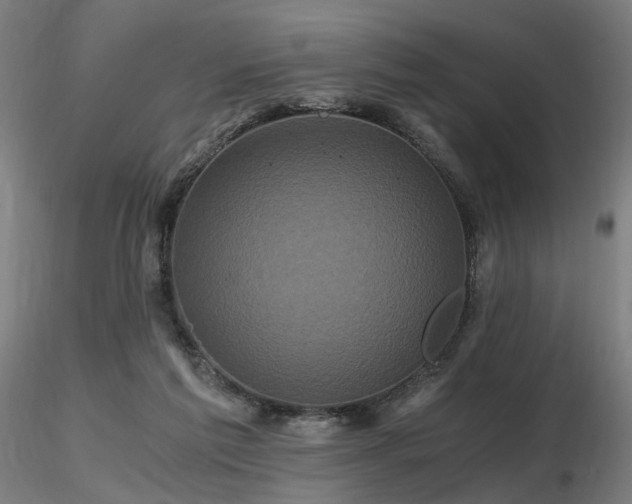 X0000116800213200912181325