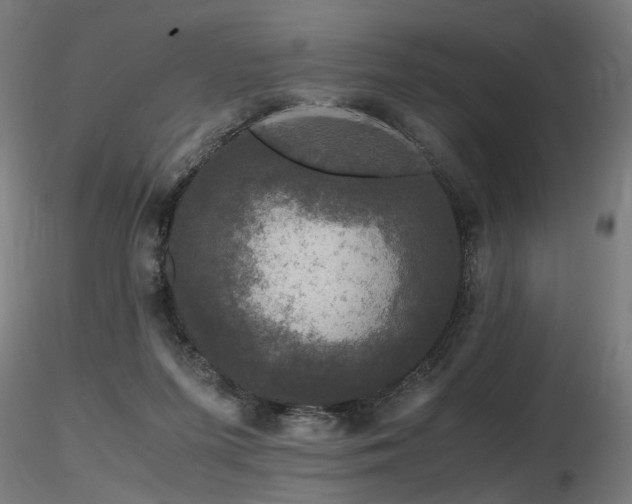 X0000116800215200912181325