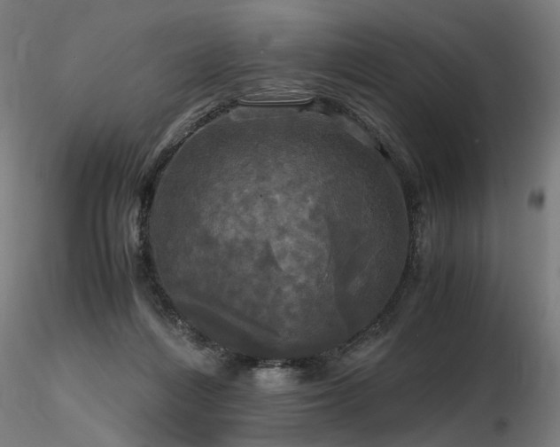 X0000116800216200912181325