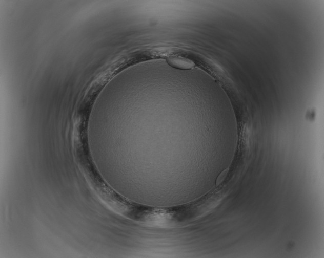 X0000116800217200912181325