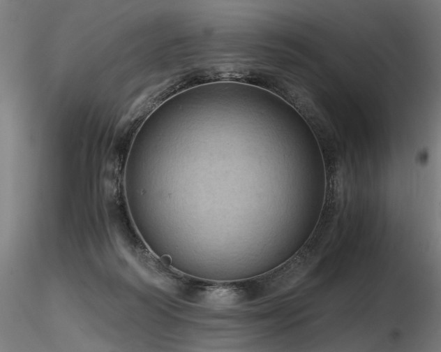 X0000116800218200912181325