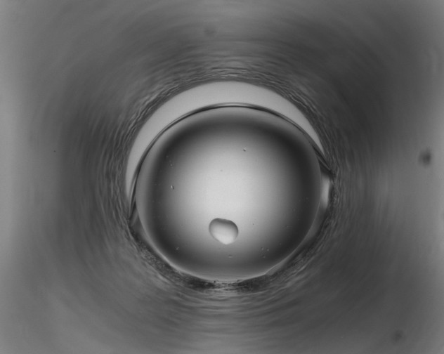 X0000116800219200912181325