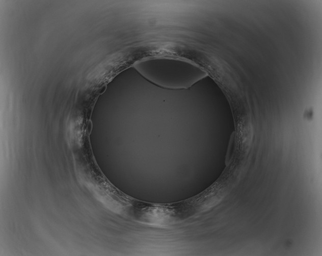 X0000116800223200912181325