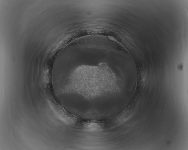 X0000116800224200912181325