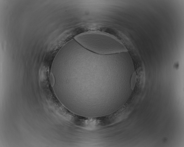 X0000116800225200912181325