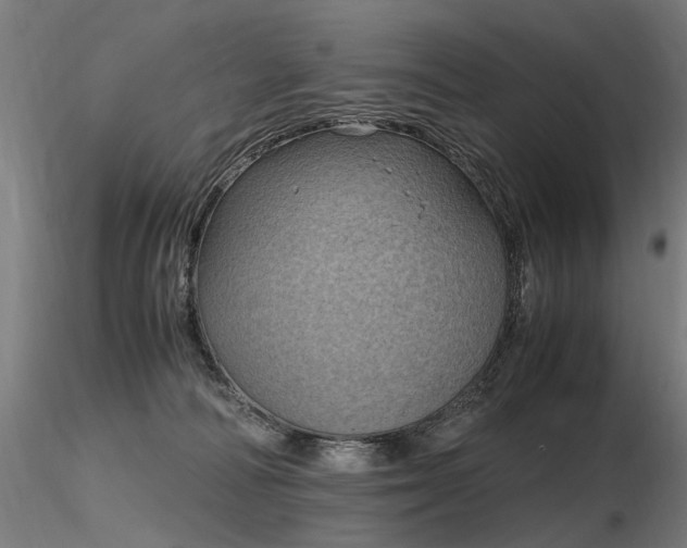 X0000116800226200912181325