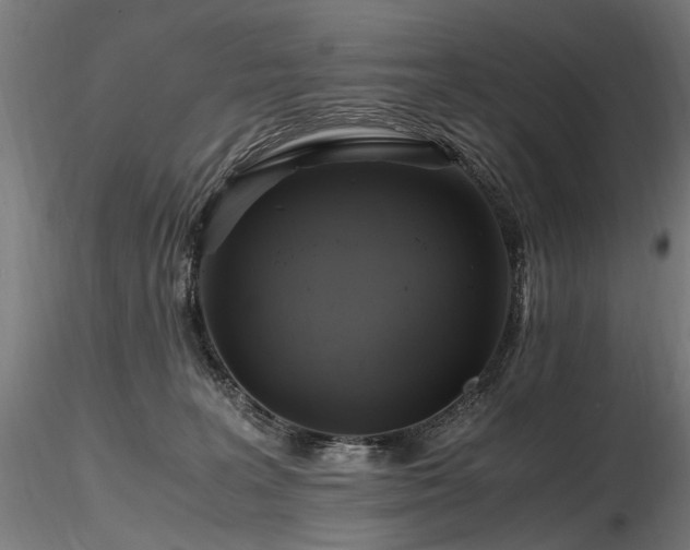 X0000116800227200912181325