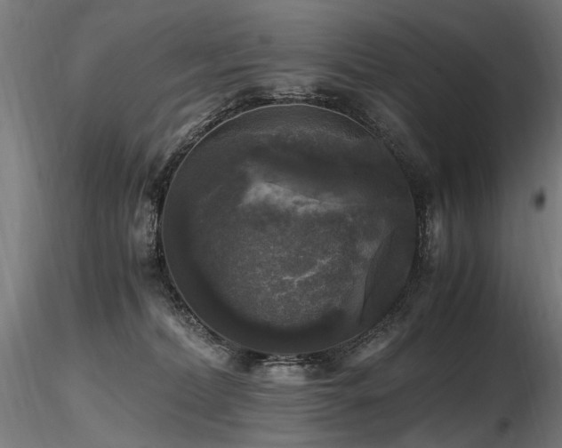 X0000116800228200912181325