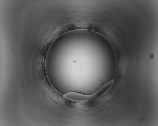 X0000116800229200912181325