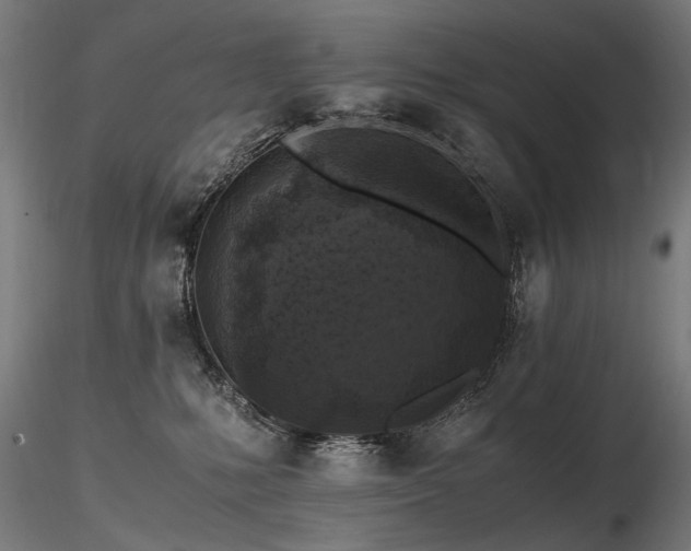 X0000116800231200912181325