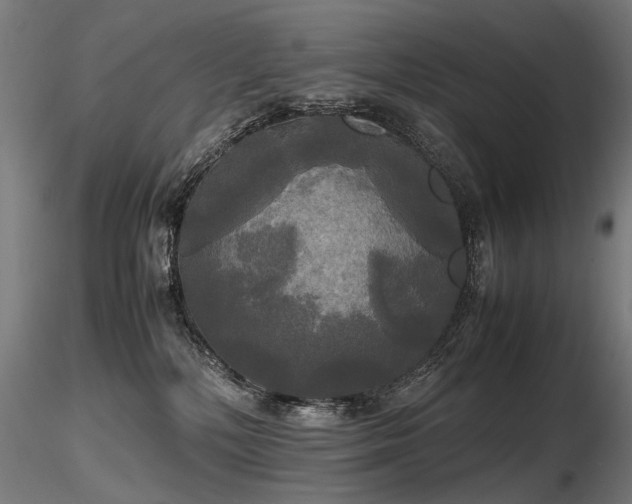 X0000116800232200912181325