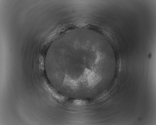 X0000116800234200912181325