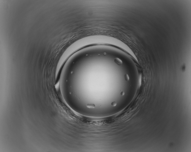 X0000116800235200912181325