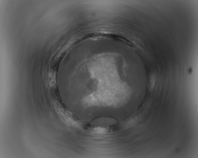 X0000116800236200912181325