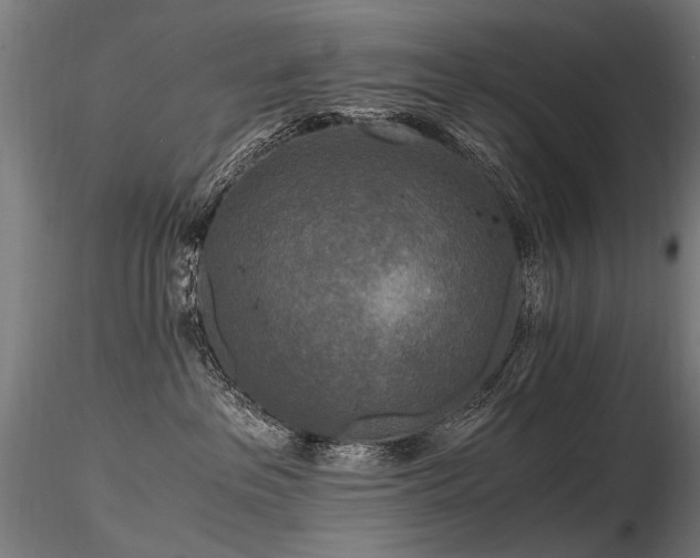 X0000116800237200912181325