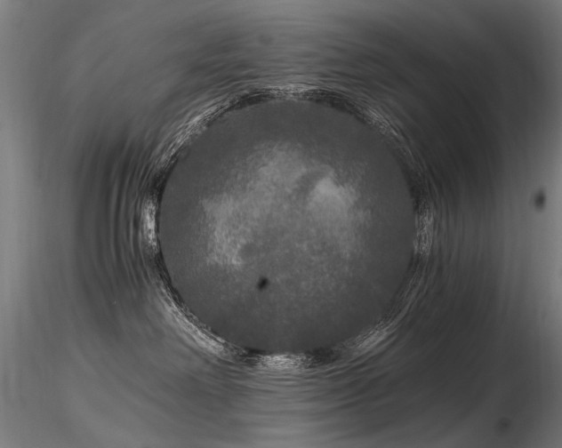 X0000116800238200912181325