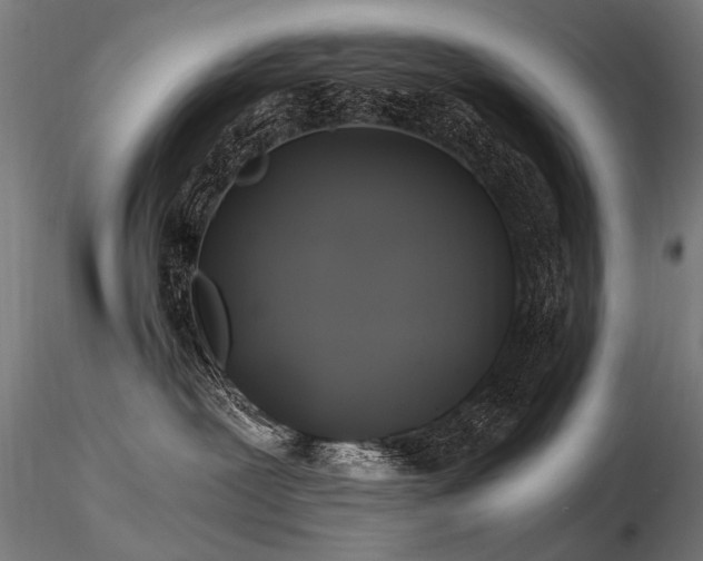 X0000116800239200912181325