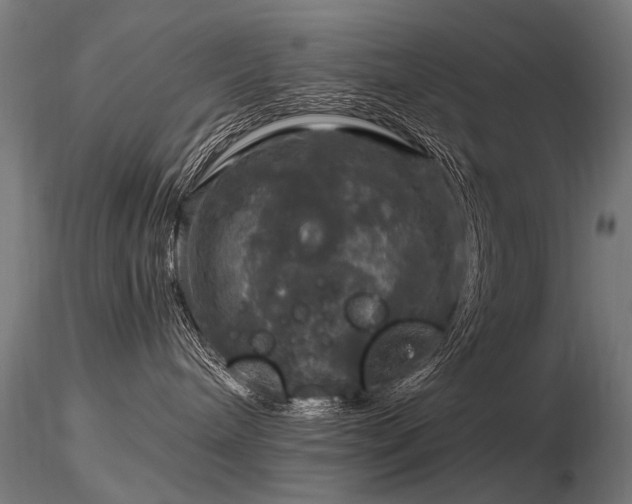 X0000116800240200912181325