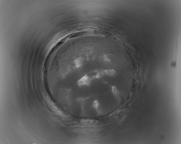 X0000116800242200912181324