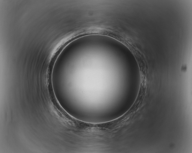 X0000116800244200912181324