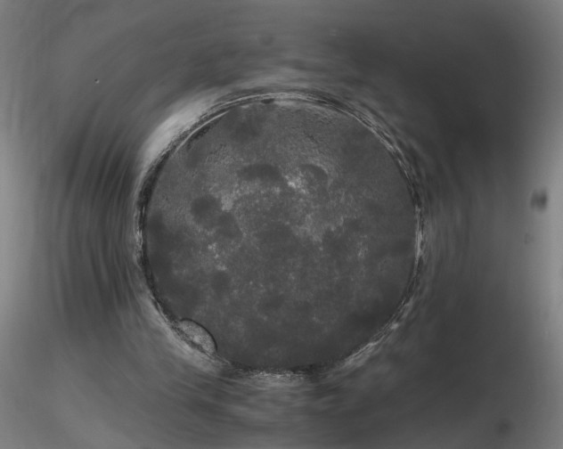 X0000116800245200912181324