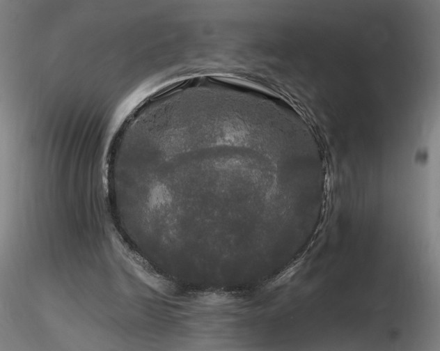 X0000116800246200912181324