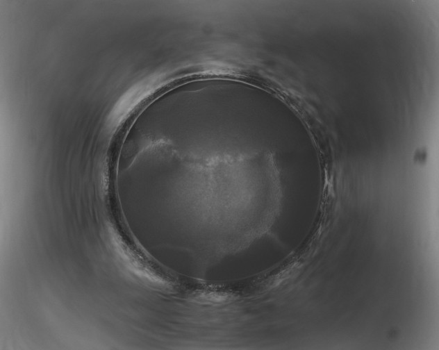 X0000116800247200912181324