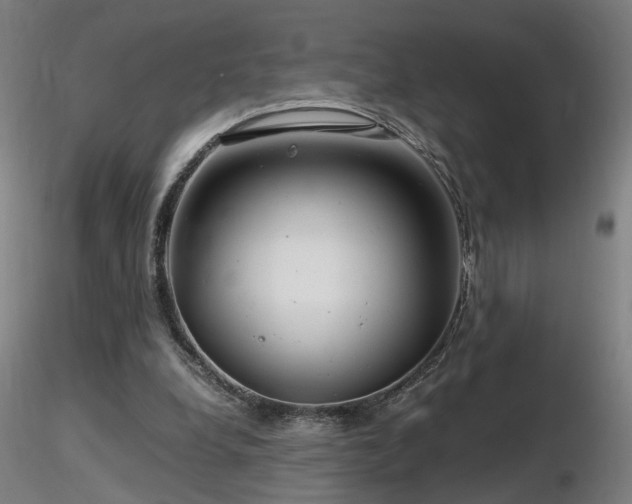 X0000116800248200912181324