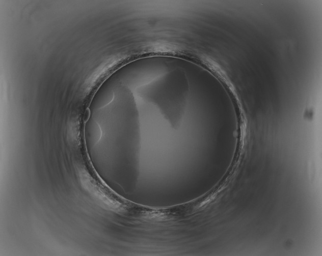 X0000116800249200912181324